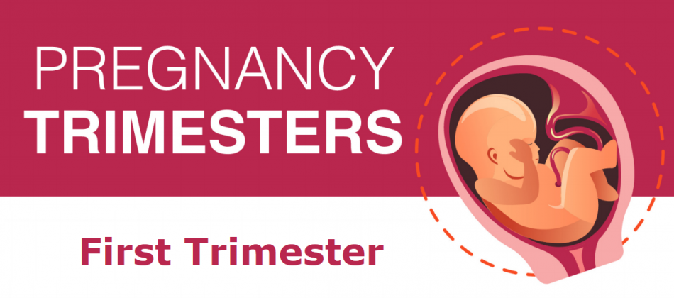 Pregnancy 1st Trimester